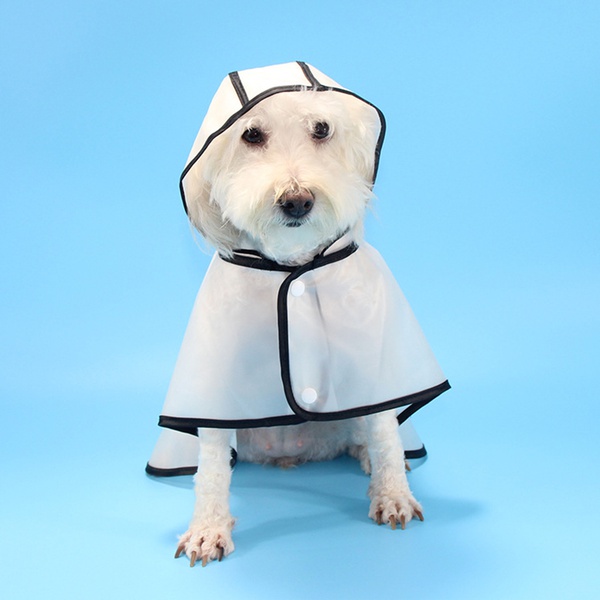 Pet Hooded Waterproof Transparent Hat Raincoat